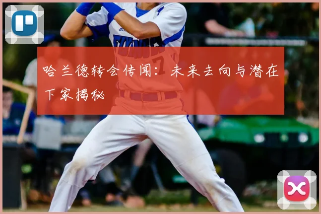 哈兰德转会传闻:未来去向与潜在下家揭秘