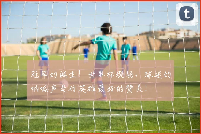 冠军的诞生！世界杯现场，球迷的呐喊声是对英雄最好的赞美！