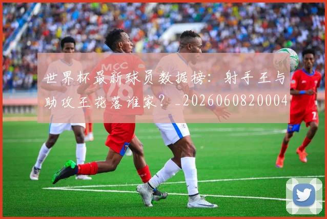 世界杯最新球员数据榜：射手王与助攻王花落谁家？_20260608200047