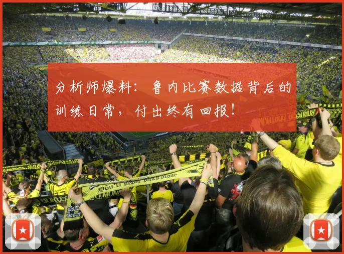 分析师爆料:鲁内比赛数据背后的训练日常,付出终有回报!